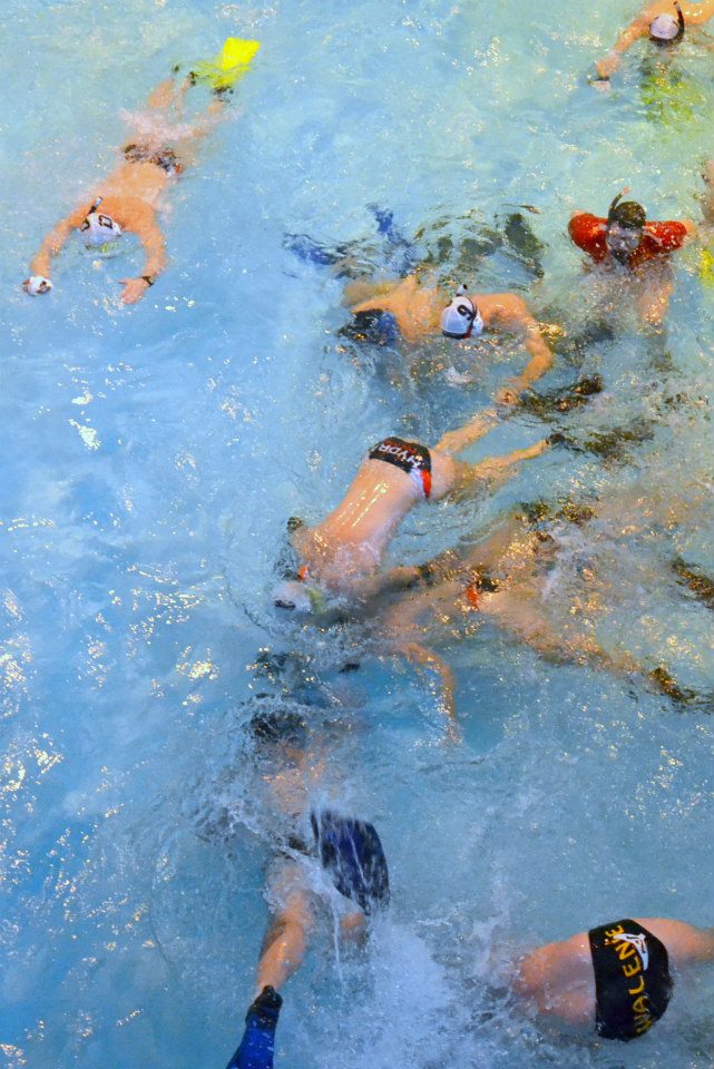 Hokej pod wodą Walenie Hydra XII 2012